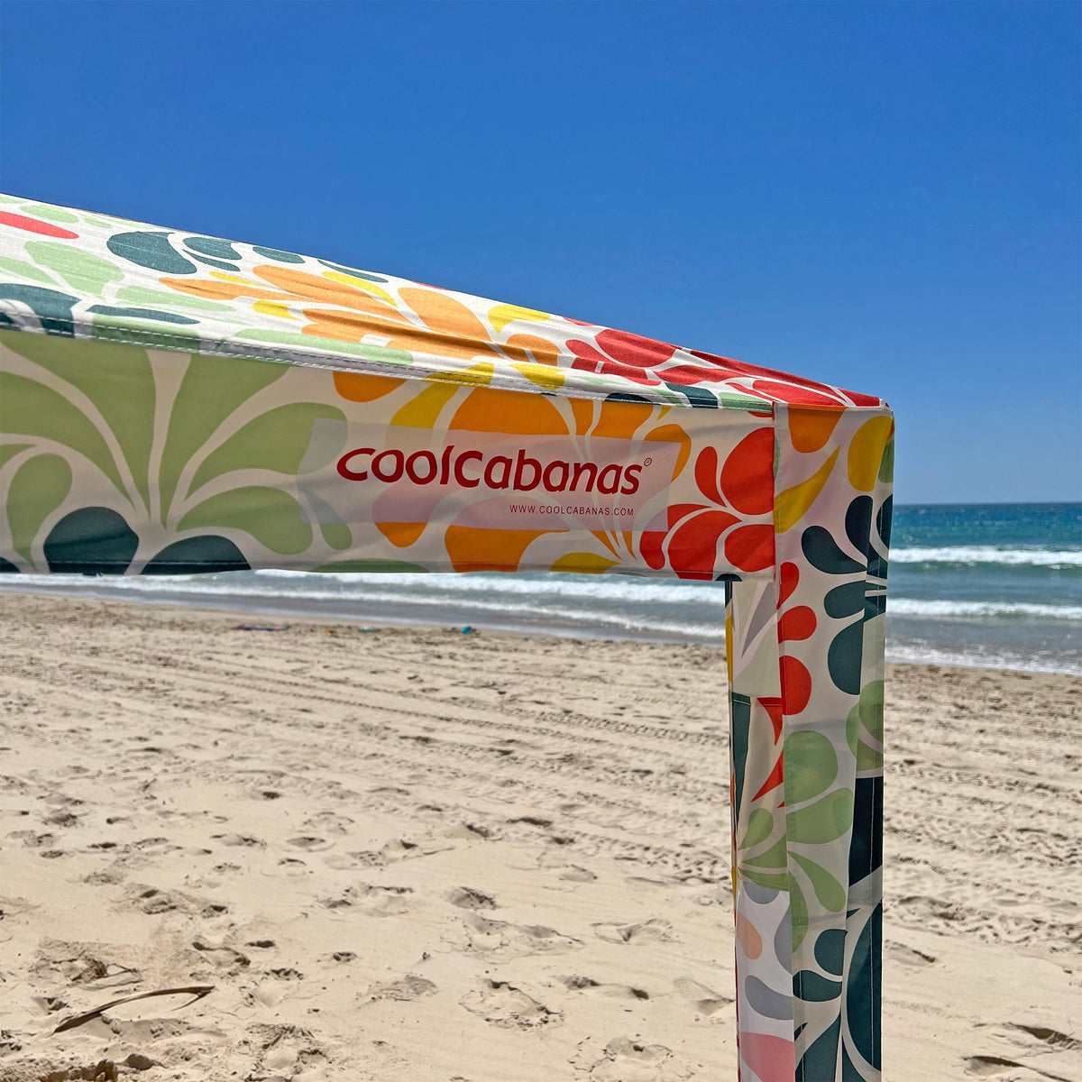 #color_palm beach